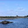 images/Schweden/Schweden 2009/IMG_4553.jpg